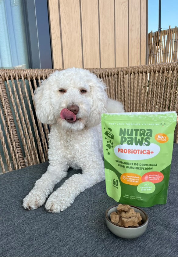 NutraPaws Probiotica+ | 60 snoepjes