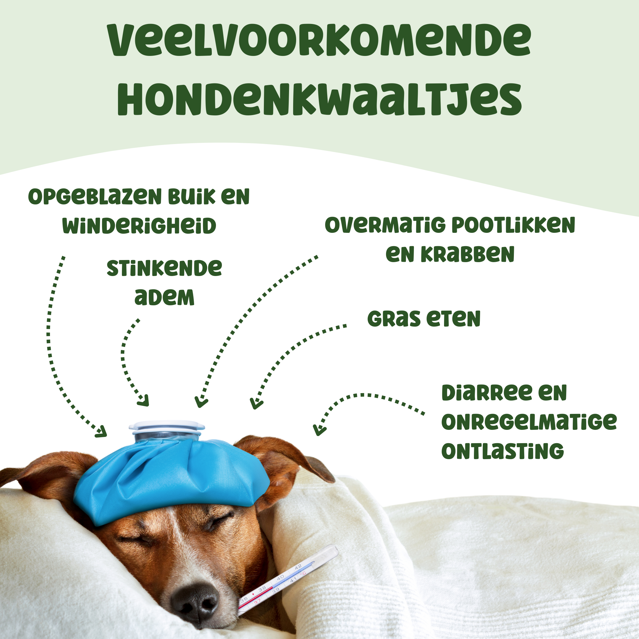 NutraPaws Probiotica+ | 60 snoepjes