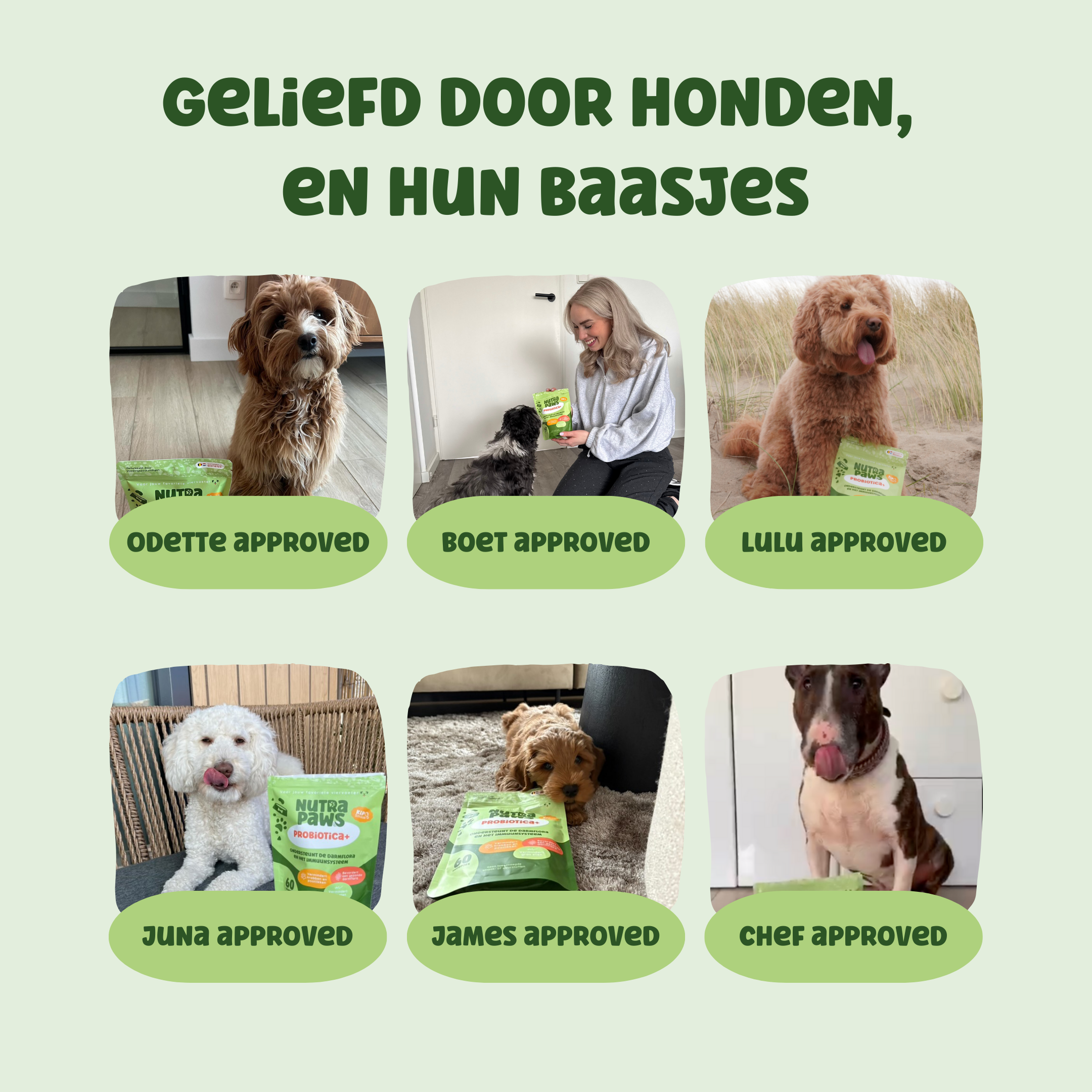 NutraPaws Probiotica+ | 60 snoepjes