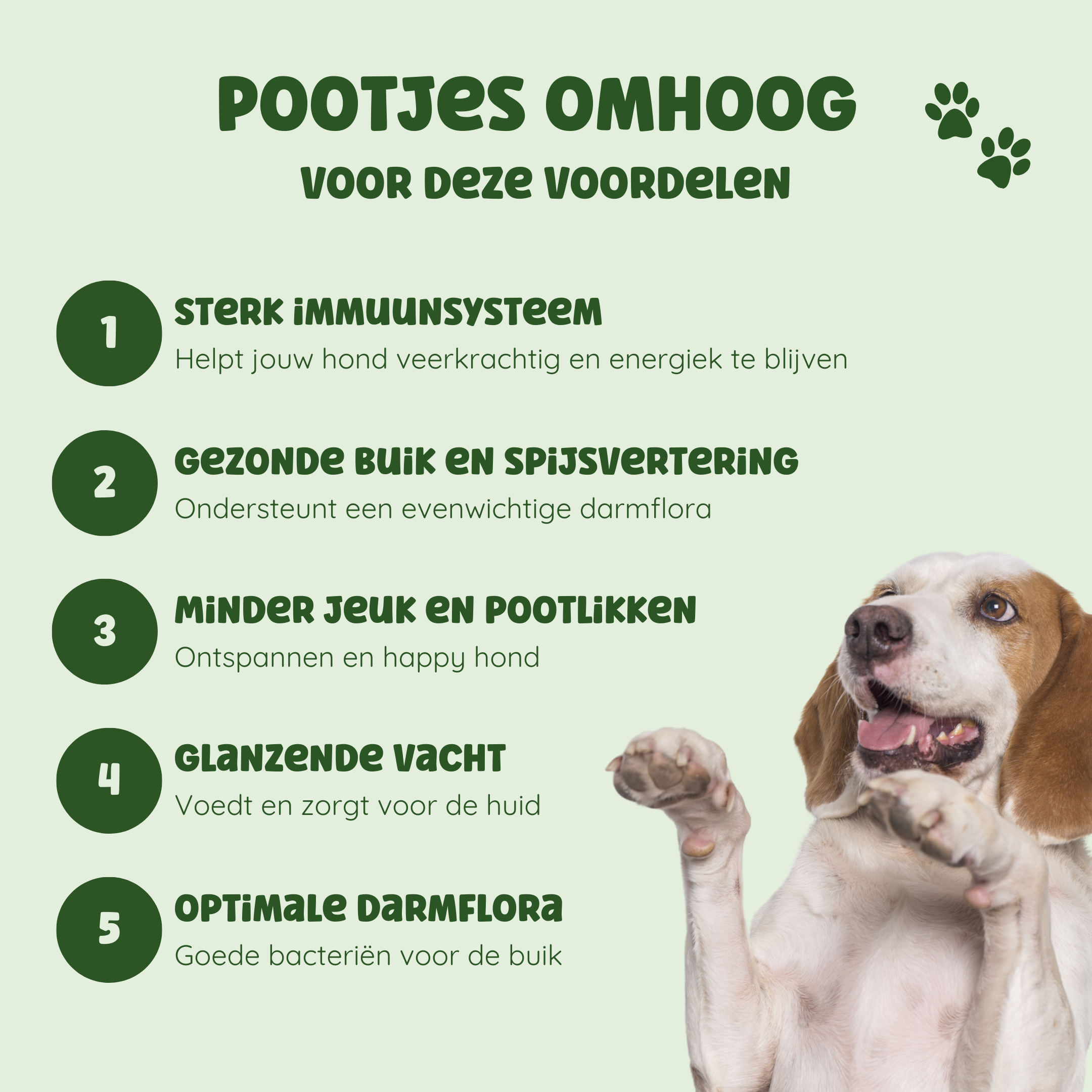 NutraPaws Probiotica+ | 60 snoepjes